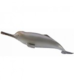 Гангский речной дельфин