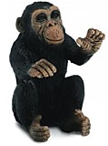 Детеныш шимпанзе S