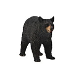 Американский черный медведь