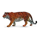 Сибирский тигр, XL